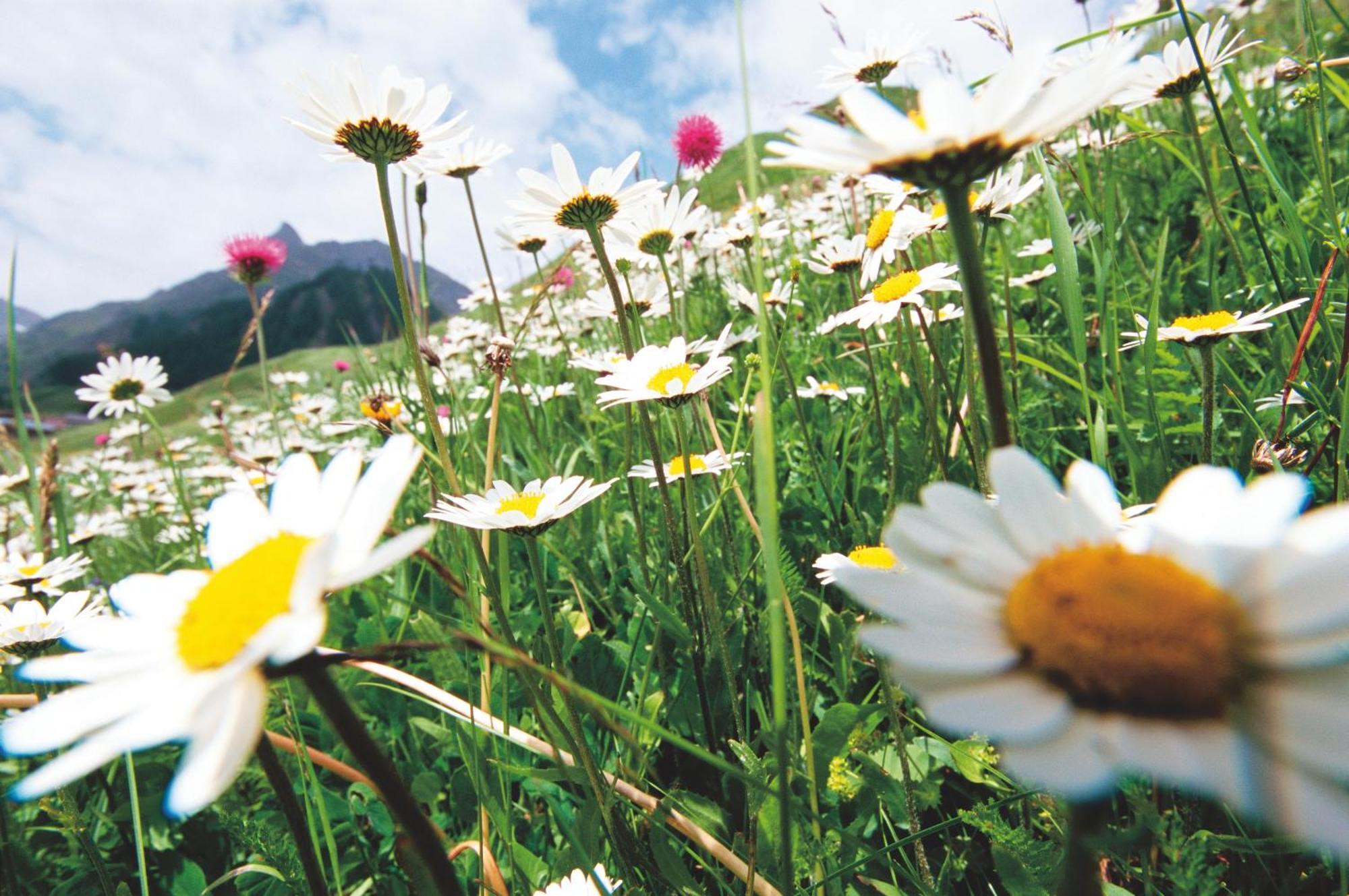 Hotel Garni Muttler Alpinresort&Spa Samnaun Exterior foto